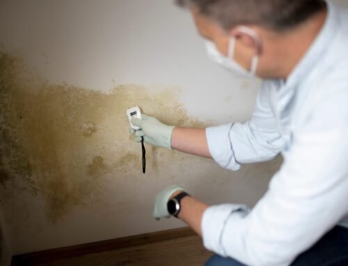 How Paint Can Help Protect Your Home from Mold and Mildew